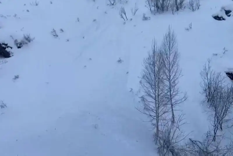 Шығыс Қазақстанда қар көшкіні жүрді
