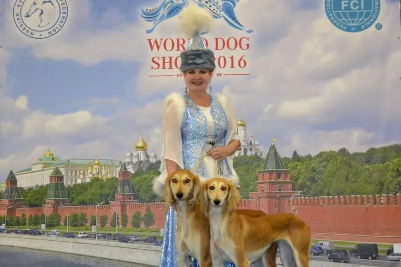 Елена Хардина: Қазақтың құмай тазысы әлі әлемді мойындатады