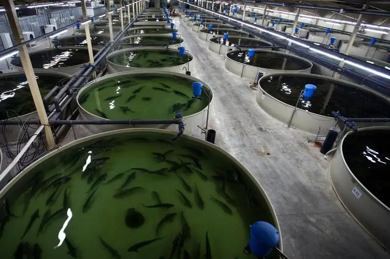 Реализацию Программы развития рыбного хозяйства начнут в 2021 году в Карагандинской области