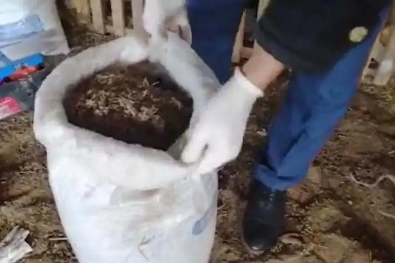 Jambyl oblysynda alty aıda 324 esirtki qylmysy anyqtaldy