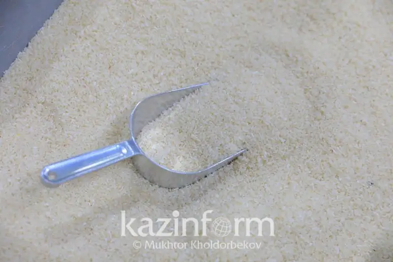 Без риса из-за засухи не останемся – Минсельхоз