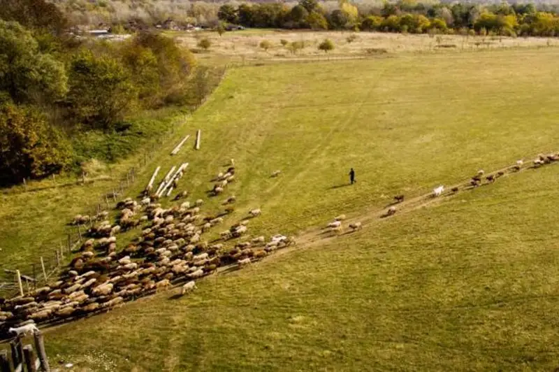 Данные космомониторинга по загруженности пастбищ находятся в открытом доступе