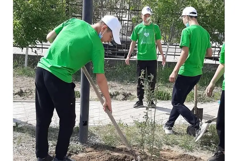 Kıeli tabıǵat: Atyraýlyq oqýshylar saıabaqqa jemis aǵashtarynyń kóshetin ekti