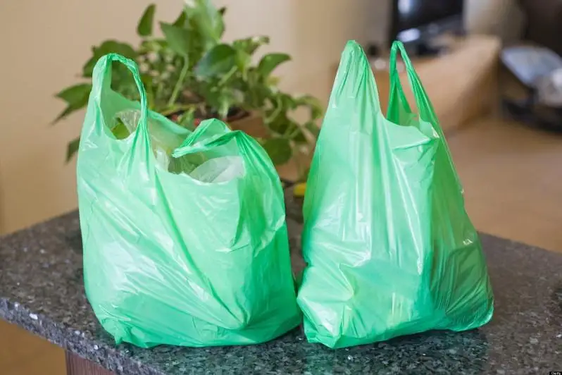 Polıetılen paketterge birden tyıym salý múmkin emes - Ekologııalyq uıymdar qaýymdastyǵy