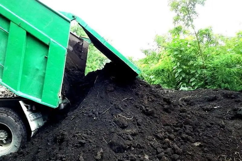 Almaty taý bókterinen qara topyraqty zańsyz tasý áli de jalǵasýda