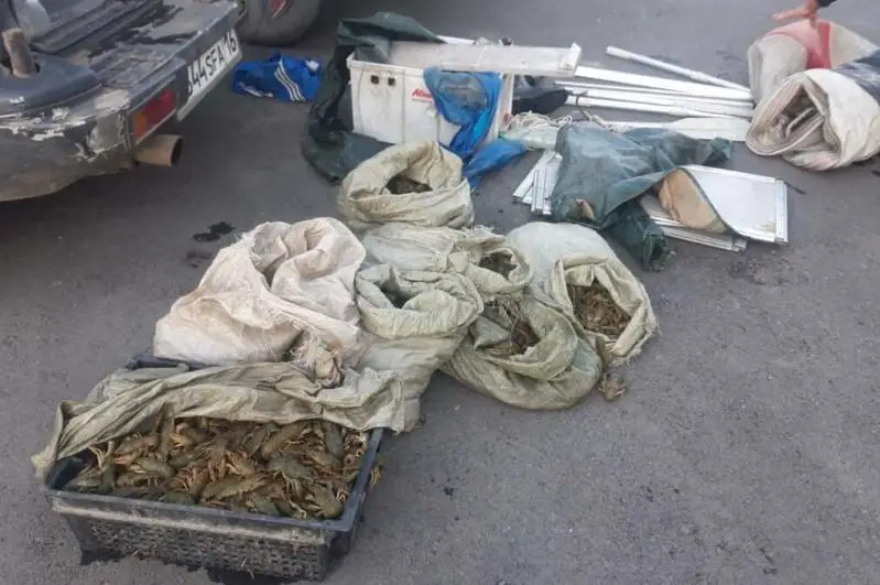 ШҚО тұрғынының көлігінен заңсыз ауланған 60 келіден астам шаян табылды