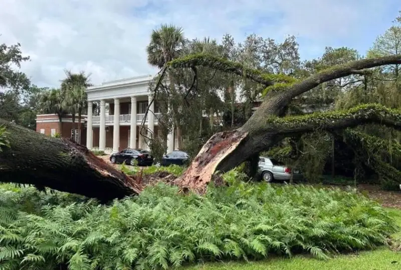 Ураган «Идалия» обрушился на США: десятки тысяч жителей остались без света