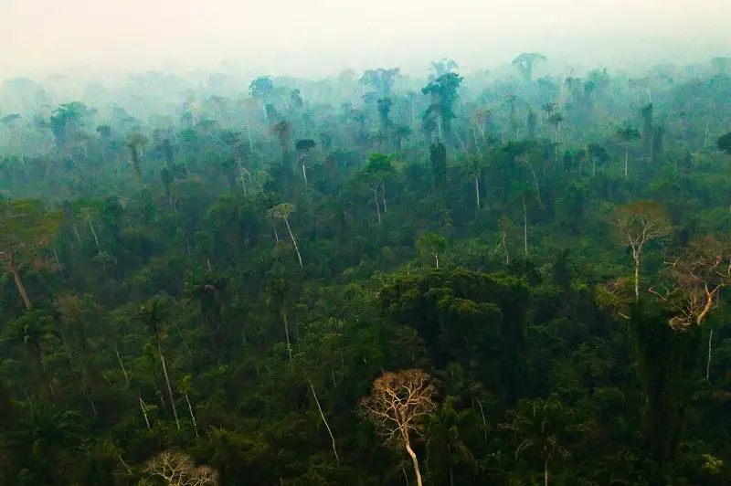NASA spýtnıgi Amazonııa ústinde aýanyń birden qurǵap ketkenin tirkedi
