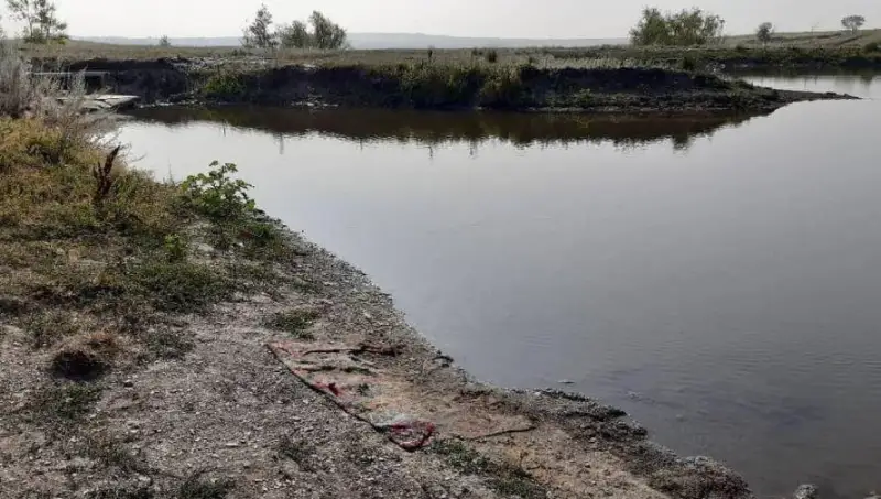ShQO-da 15 jasar bozbala sýǵa batyp ketti