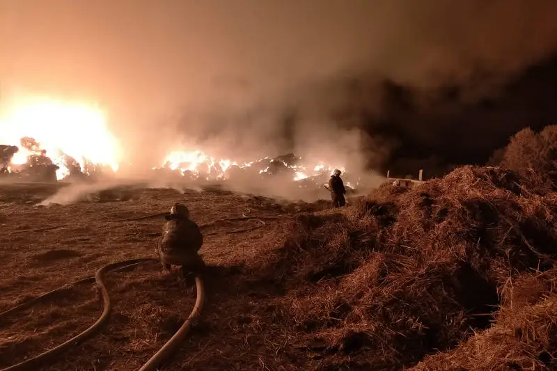Qyzylorda oblysynda 3 myń rýlon shóp órtenip ketti