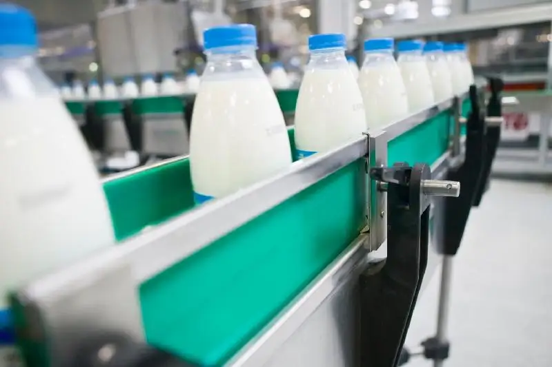Túrkistan oblysynda táýligine 30 tonna sút óńdeıtin tseh  ashyldy