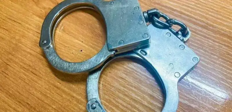 задержание, антикор