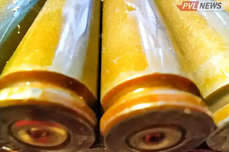 Pavlodar oblysy turǵynynyń qorasynan gaz tapanshasy men revolver tabyldy
