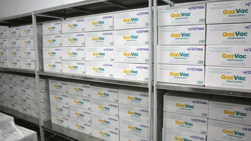 QazVac отандық вакцинасының алғашқы 50 мың дозасы ШҚО-дан басқа барлық өңірге жеткізілді