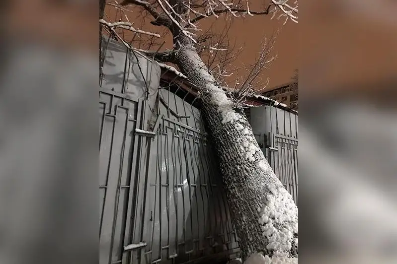 Almatyda medıtsına ǵımaratyna aǵash qulap, shatyry men qorshaýyn qıratty