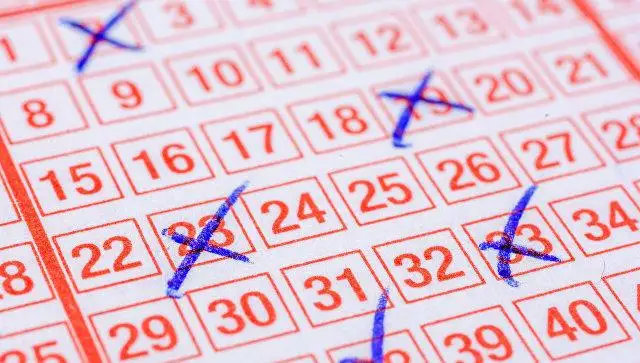 Kanada turǵyny ulttyq lotereıadan 13,2 mln dollar utty