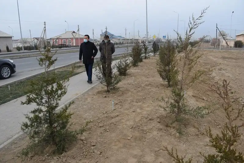 Qazyǵurt turǵyndary Túrkistan qalasyna 8 myńǵa jýyq túp tal ekti