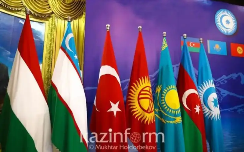 Организация тюркских государств