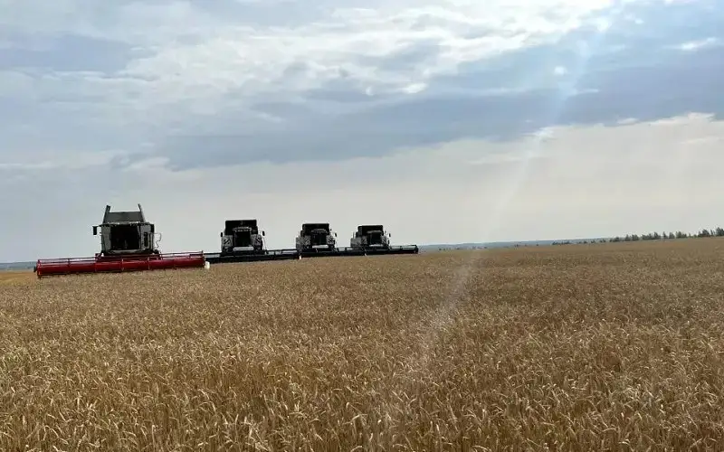 Қишлоқ хўжалиги