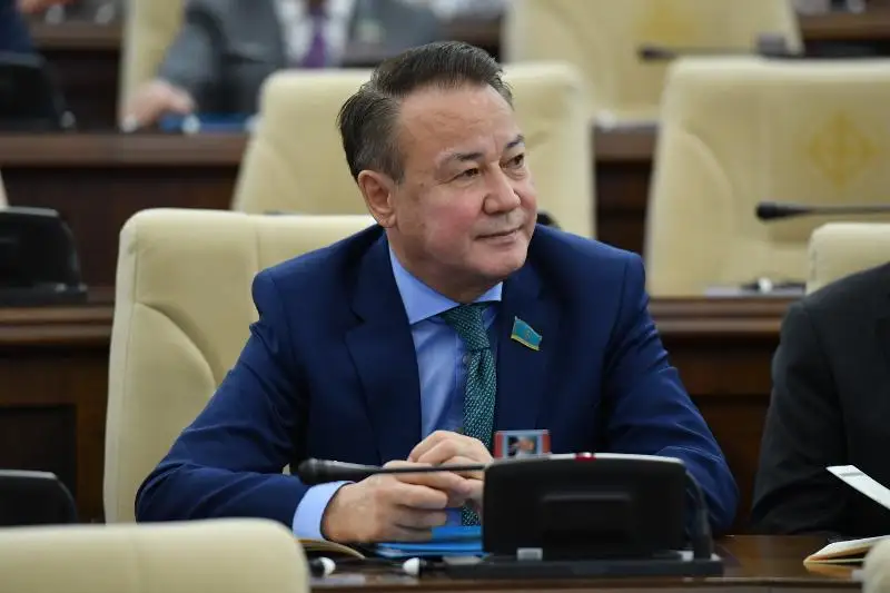 Качество оцифрованных книг КазНЭБ оставляет желать лучшего - сенатор