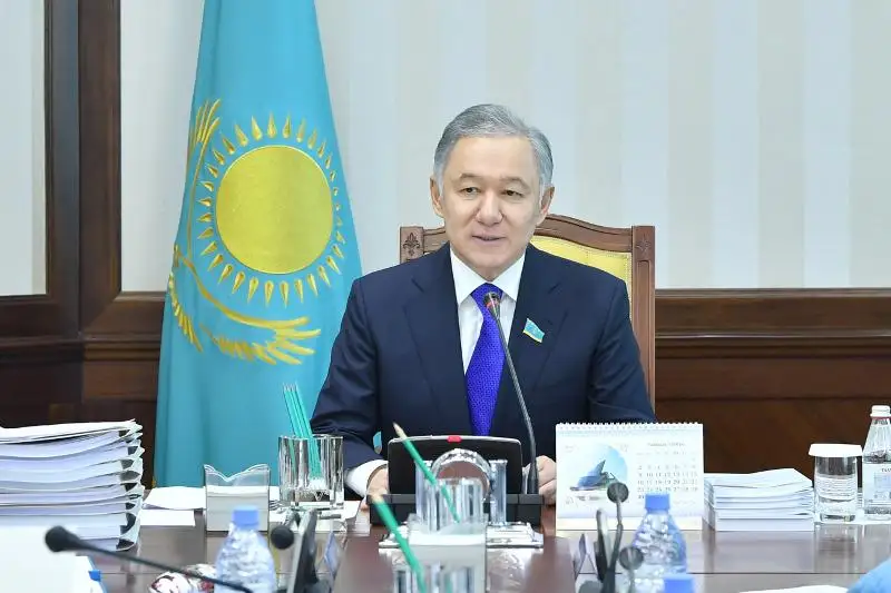 Májilis Prezıdent Joldaýyn iske asyrý boıynsha zań jobalaryn qaraıdy