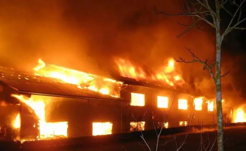 Pavlodar aýdanynda 9 bas jylqy órtenip ketti