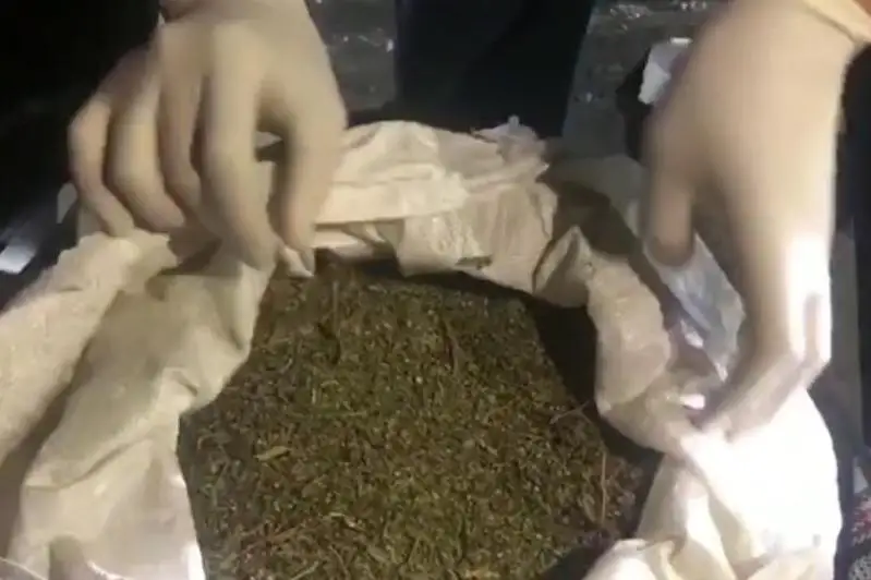 Úsh jezqazǵandyq 140 kelige jýyq keptirilgen marıhýanamen ustaldy