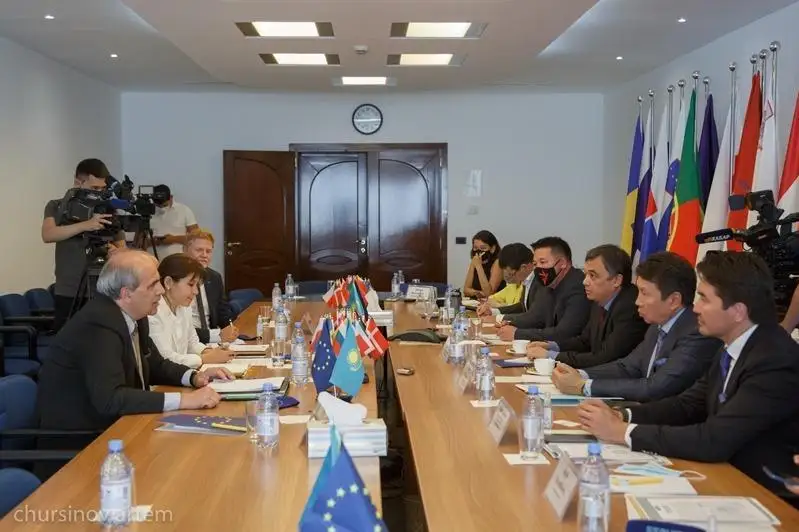 EO arnaıy ókili Eýroparlamenttiń Qazaqstanǵa qatysty qararyna pikir bildirdi