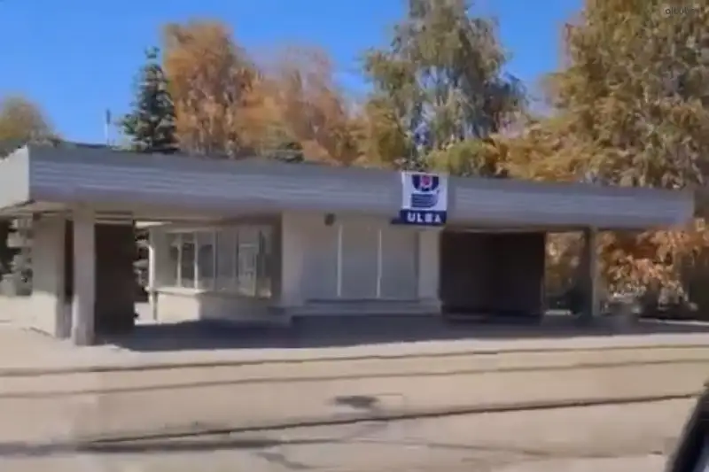 Óskemende aǵash japyraqtarynyń kenet sarǵaıýyna baılanysty tekserý júrgizilýde