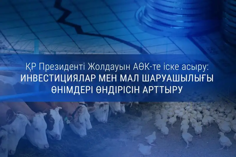 Prezıdent Joldaýyn iske asyrý: ınvestıtsııa jáne mal sharýashylyǵy ónimderiniń óndirisi