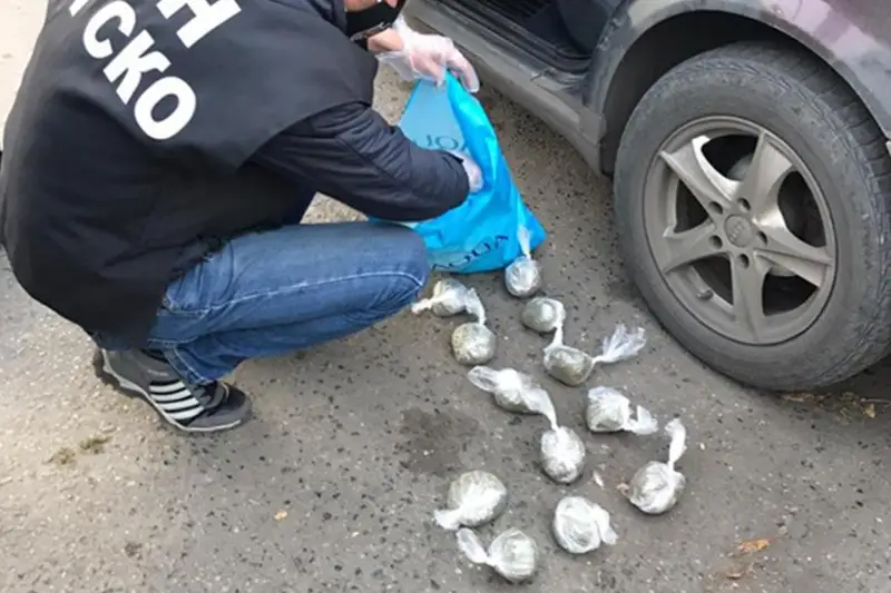 Petropavlda bir kelige jýyq esirtki tasymaldaǵan júrgizýshi ustaldy