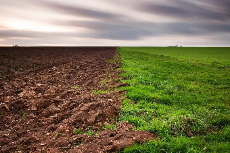 Qostanaı oblysynda 1 mln gektar jer maqsatsyz paıdalanylǵan
