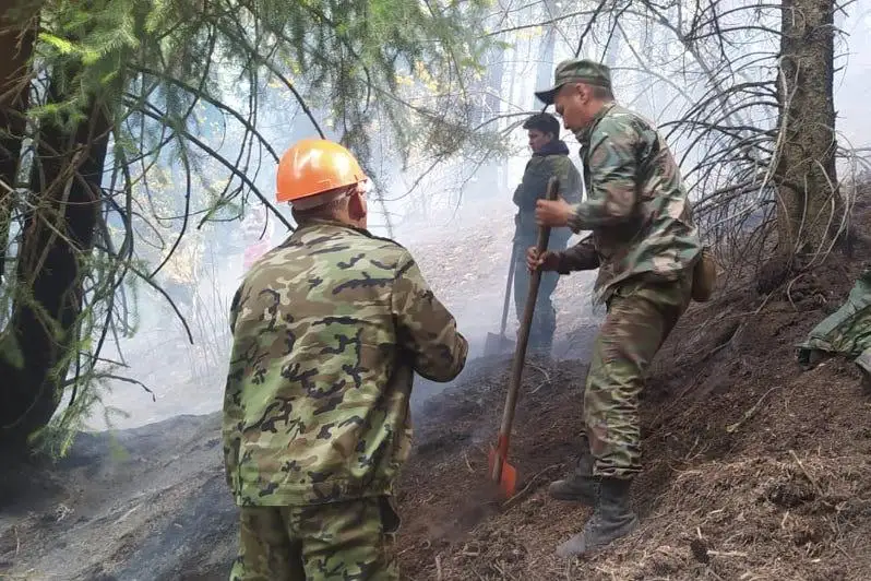 Almaty oblysynyń Aqsaı shatqalyndaǵy órtten jaqyn eldi mekenderge qaýip joq - TJD