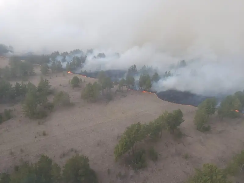 Площадь возгорания в резервате «Ертіс орманы» в Павлодарской области достигла 1000 гектаров
