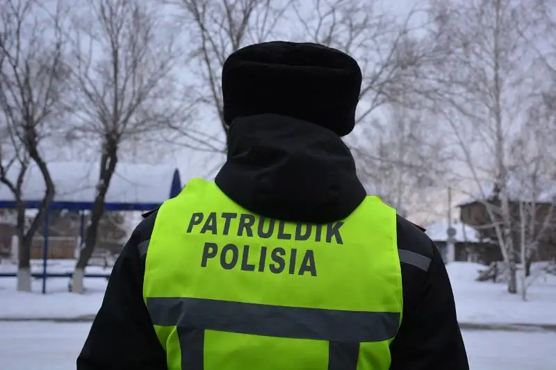 Petropavlda joǵalǵan aǵaly-inili eki búldirshin tabyldy