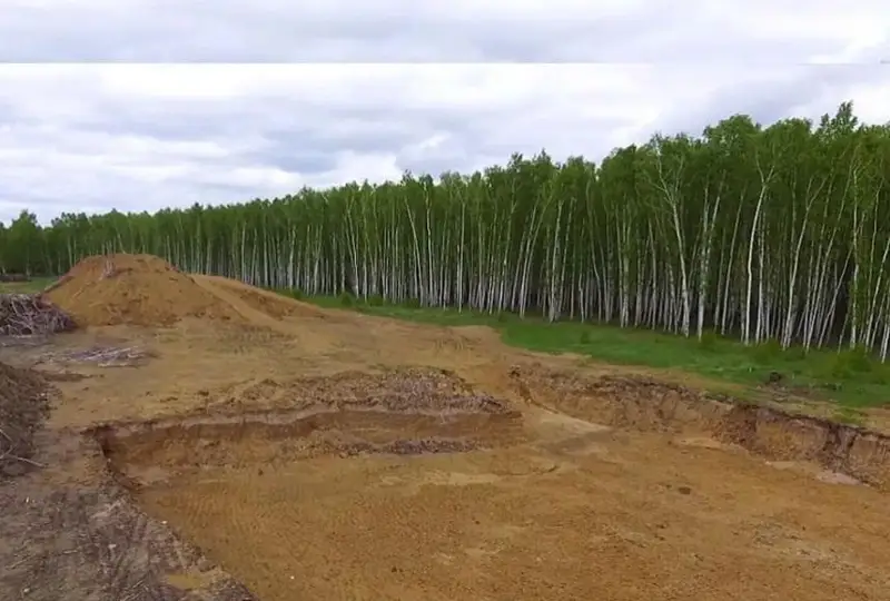 Жители Петропавловска возмутились очередной вырубкой в Мещанском лесу