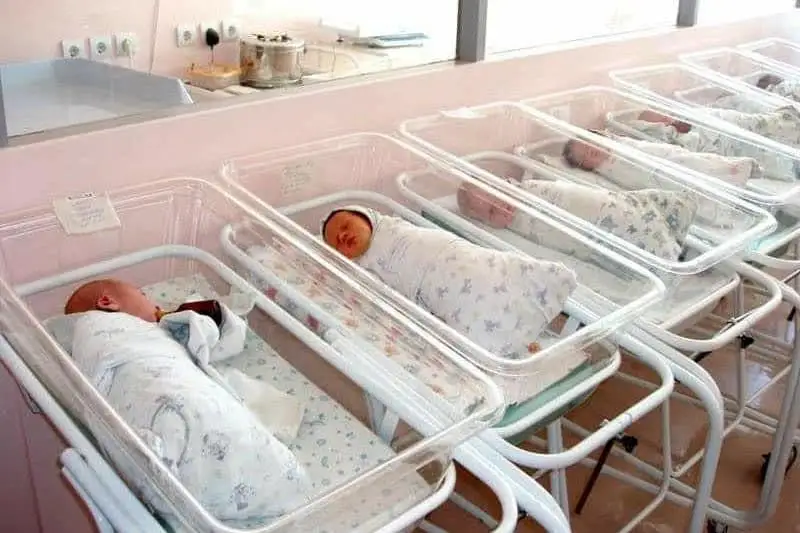 Túrkistan oblysy bala týý men tabıǵı ósim boıynsha kósh bastap tur