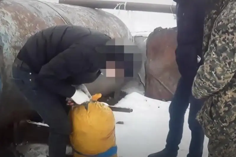 Shý aýdanynda malshydan 12 keliden astam marıhýana tabyldy
