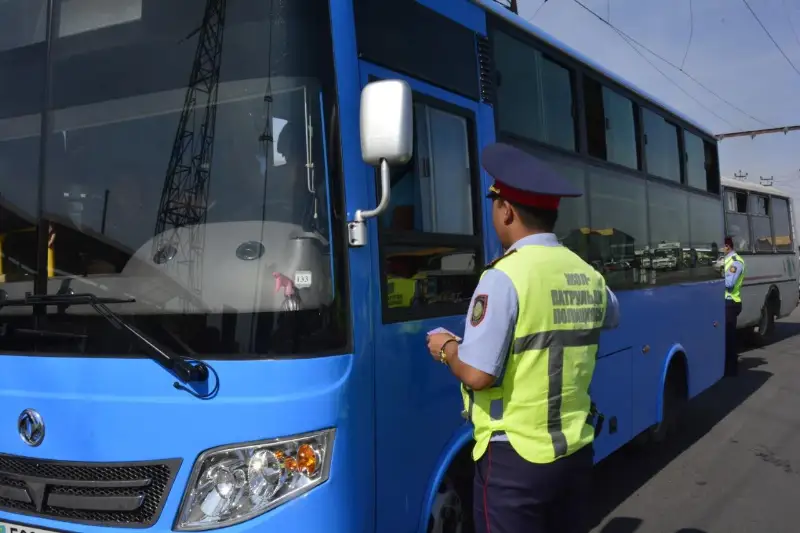 Jambylda qoǵamdyq kólik júrgizýshileri bir aptada 2 myńnan astam jol erejelerin buzǵan