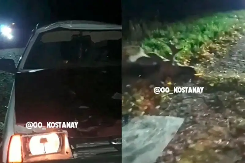 Qostanaı oblysynda jeńil avtokólik bulandy qaǵyp ketti