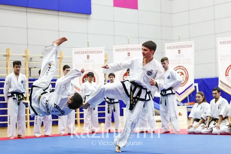 Ассоциация боевых искусств Казахстана провела акцию по поддержке многодетных семей