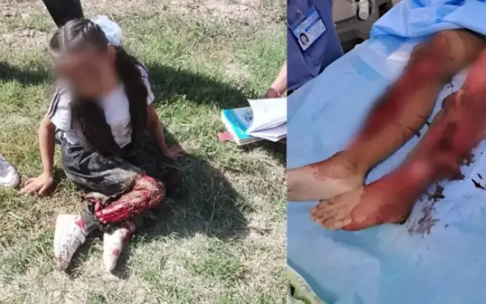 Фото: Әлеуметтік желі 