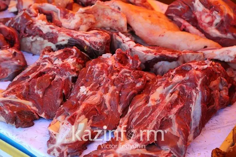 Qujatsyz mal tasymaldaǵandarǵa 8 mln teńgeden astam aıyppul salyndy – Almaty oblysy