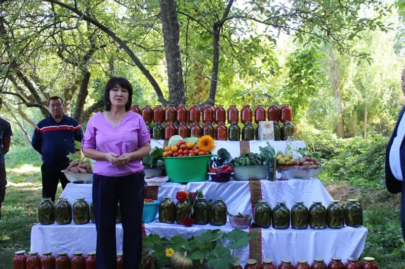 Tólebılik kelinshek baqshasyna kókónis ósirip, tabysqa kenelip otyr