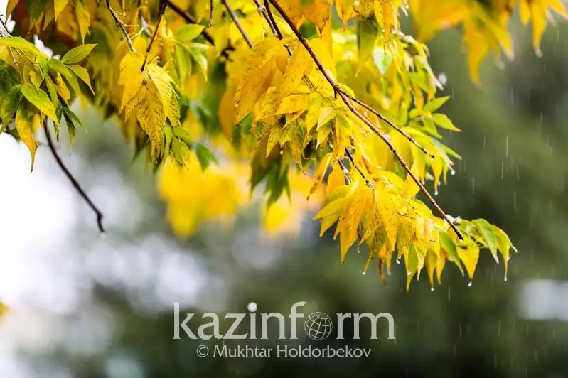 Көктайғақ, боран: Алдағы үш тәуліктегі күн  райы болжамы жарияланды