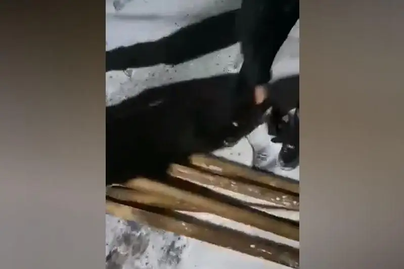 Almaty turǵyny saıabaqtaǵy oryndyqty buzyp, úıine alyp ketken