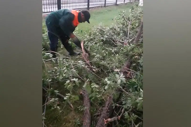 Shymkentte kúshti jelden úılerdiń shatyry ushyp, kóliktiń ústine qulady
