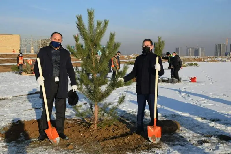 «Tuńǵysh Prezıdent kúni» qarsańynda Túrkistan qalasynda 500 túp aǵash otyrǵyzyldy
