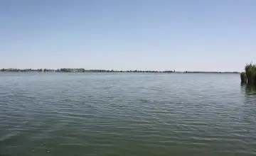 Петропавл тұрғыны көлікпен Есіл өзеніне түсіп кетіп, мерт болды