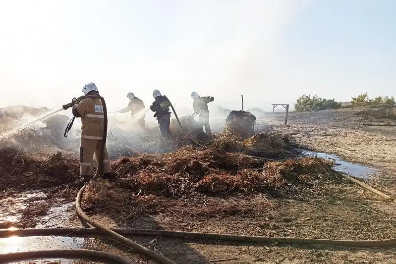 Atyraýda 1200-den astam shóp oramy órtenip ketti